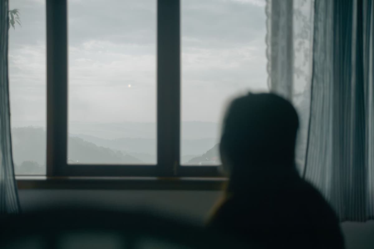 A person silhouetted near a window looking toward a misty landscape.